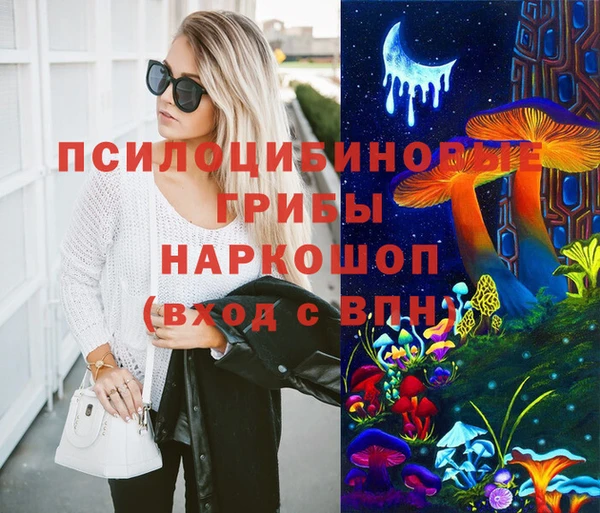 СК Алексин