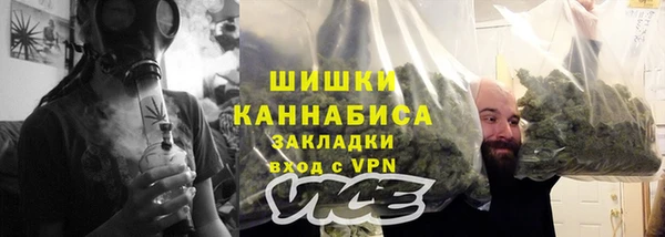 молекула духа Ельня