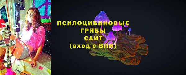 твердый Алзамай