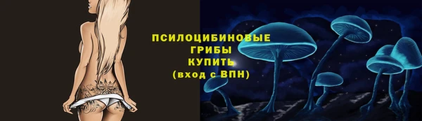 СК Алексин