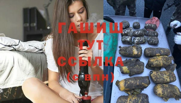 СК Алексин