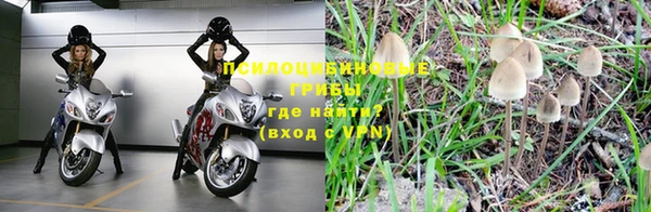твердый Алзамай