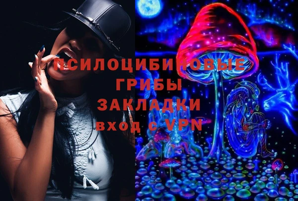 твердый Алзамай