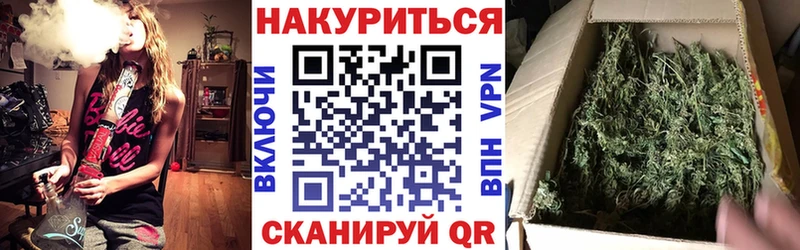 как найти   Жирновск  Шишки марихуана индика 